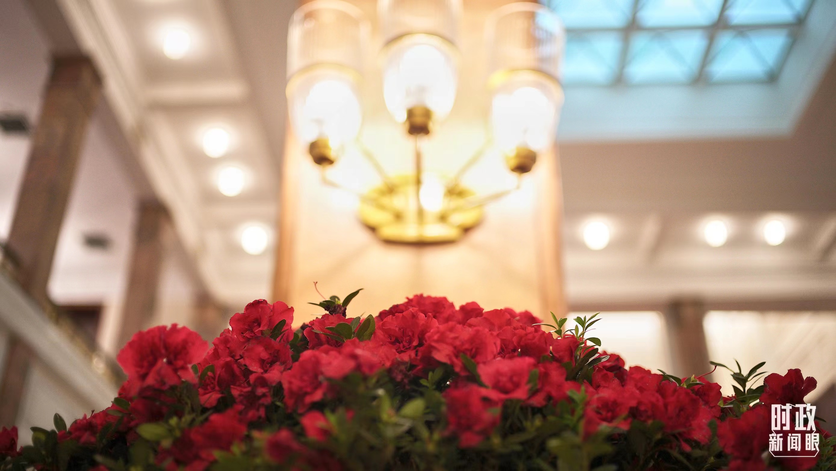 时政新闻眼丨习近平会见这两位外国领导人，重点谈了什么？