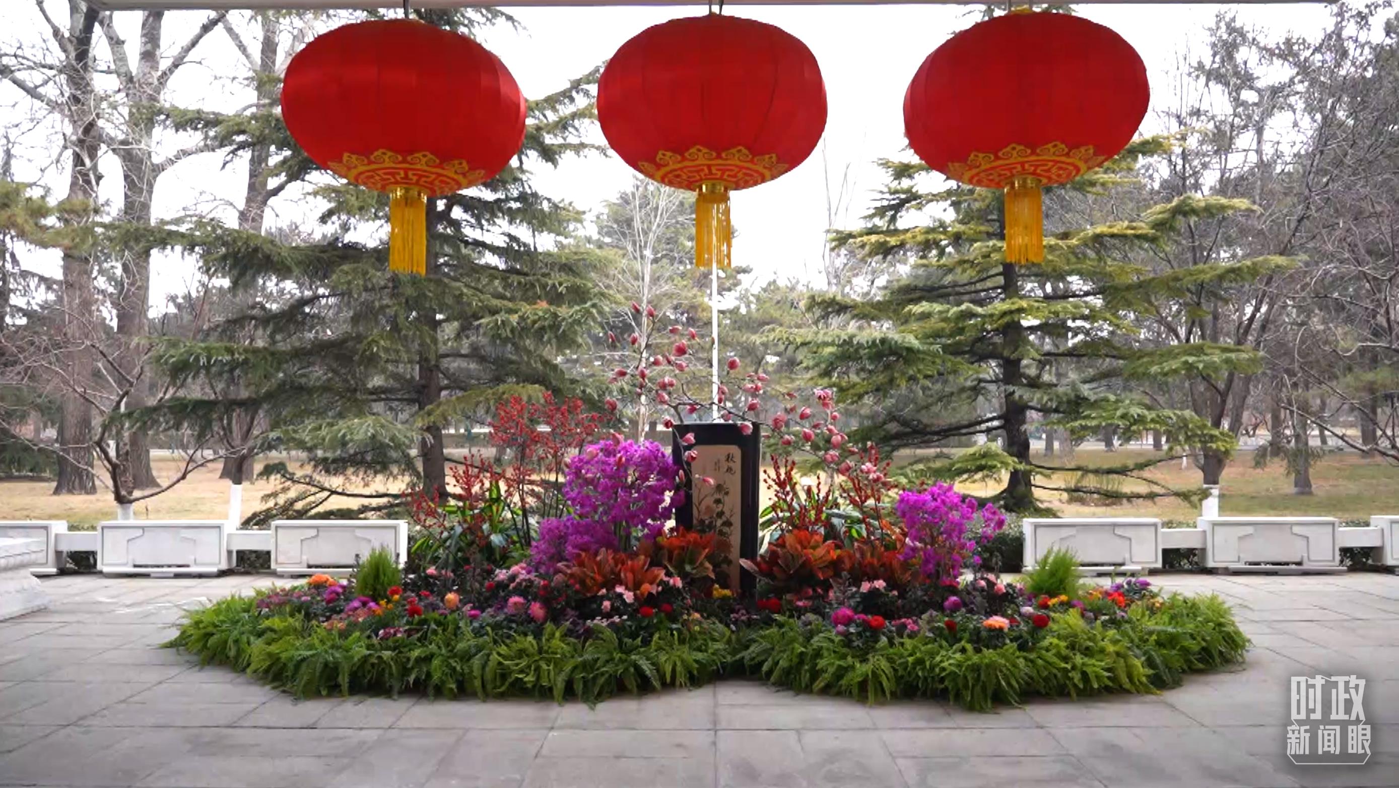 时政新闻眼丨习近平会见这两位外国领导人，重点谈了什么？