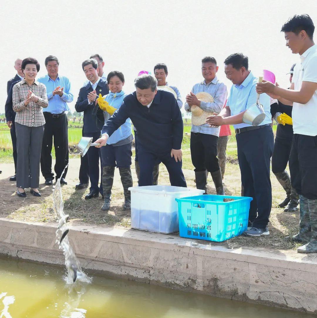 时政特稿丨总书记的“大食物观”