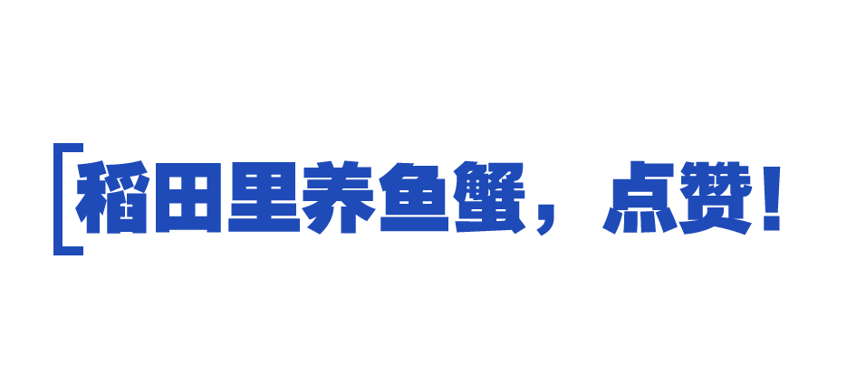 时政特稿丨总书记的“大食物观”