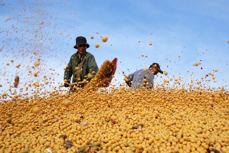 时政特稿丨总书记的“大食物观”