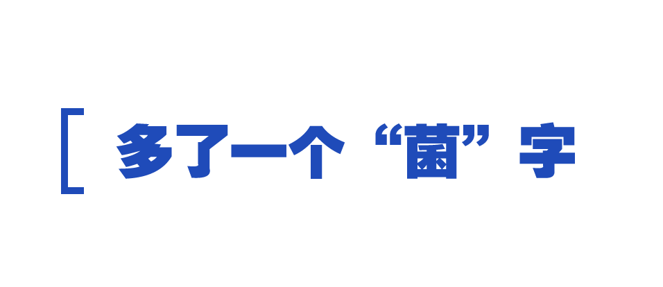 时政特稿丨总书记的“大食物观”