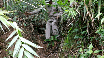 微视频｜守护生态宝库
