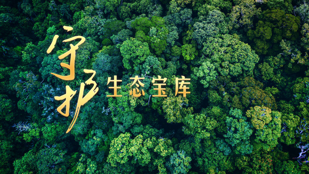 微视频｜守护生态宝库