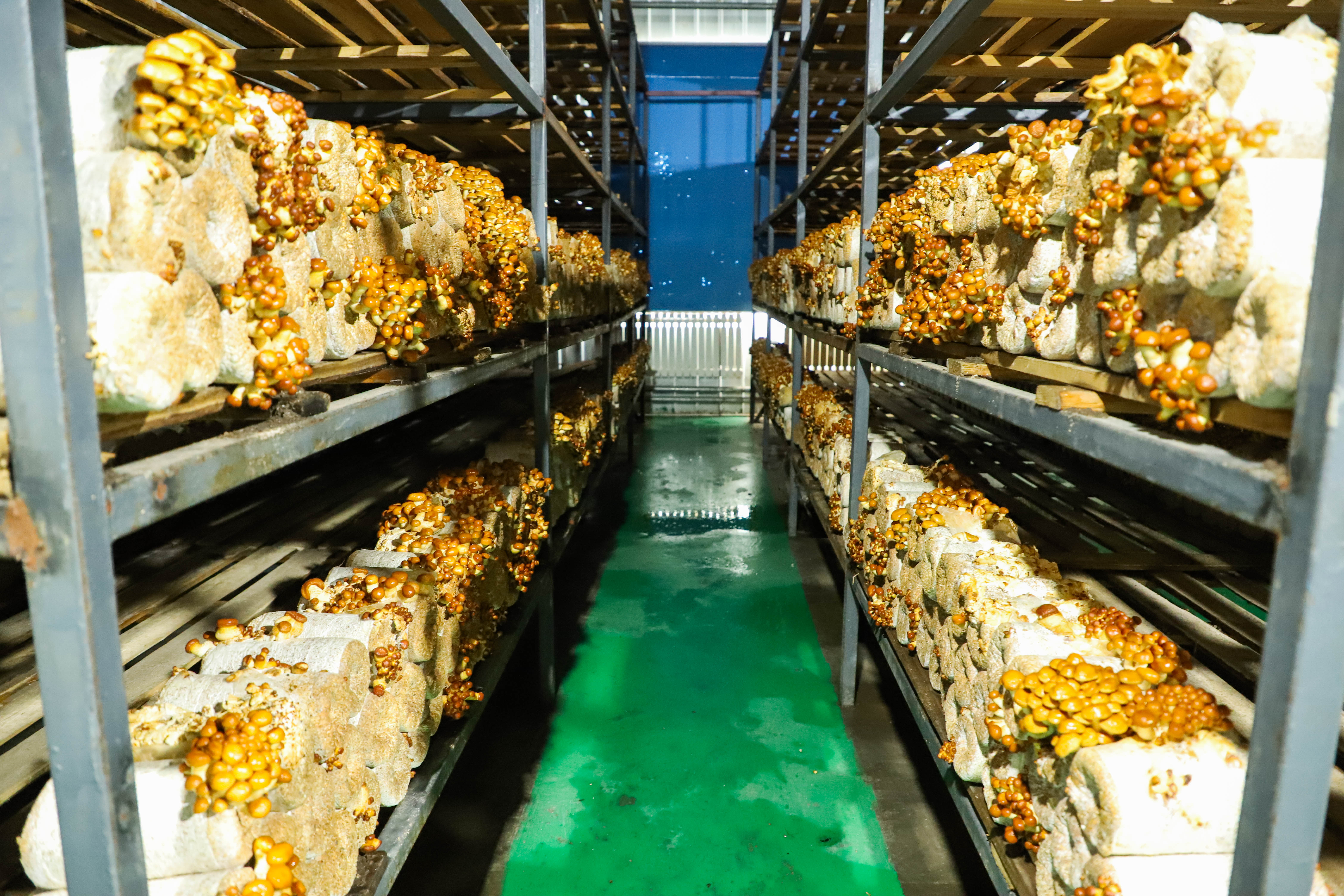 十年两会&middot;温暖记忆｜&ldquo;总书记为我们算出了生态账&rdquo;