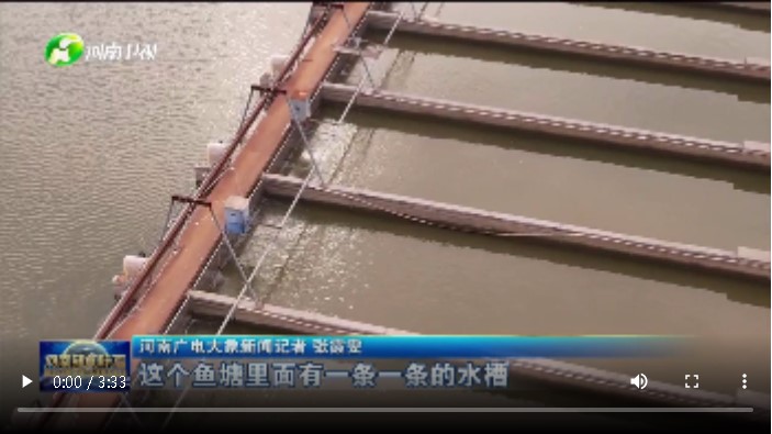 【强信心 拼经济·土特产变“洋”记】黄河鲤鱼有了专用“跑道”