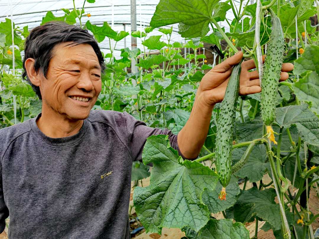 河南驻马店上蔡县:博士工作站建到田间地头