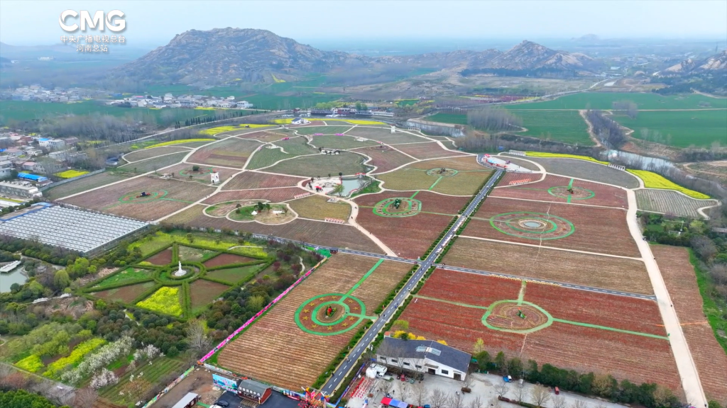 春上枝头丨邂逅千亩郁金香,共赴一场“春日花海之约”