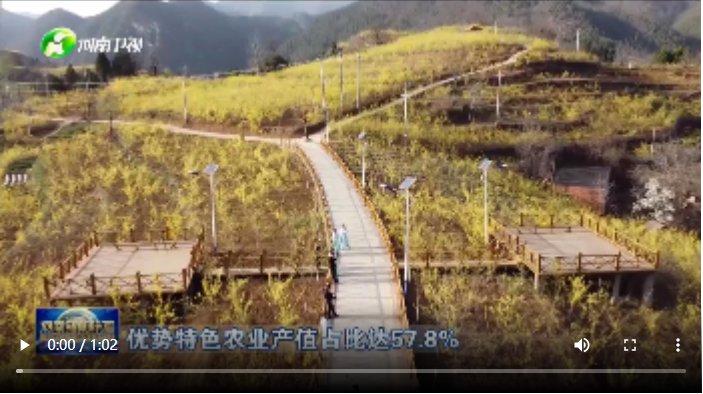 【新闻链接】 产业有特色 振兴有奔头