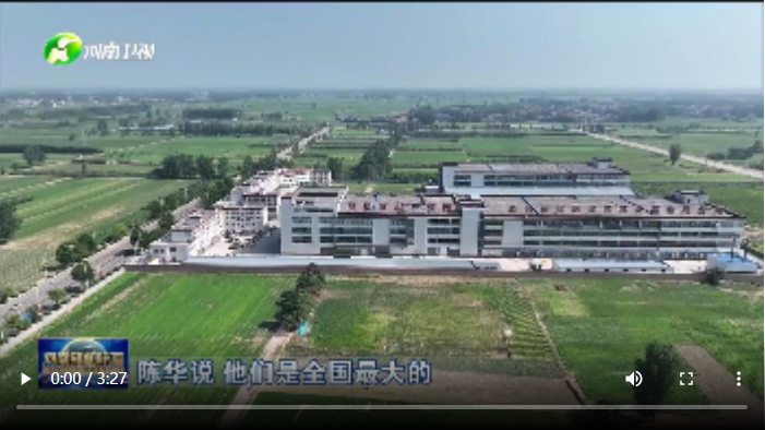 【强信心 拼经济·土特产变“洋”记】一碗酸辣粉里的经济账