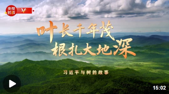  时政专题片丨叶长千年茂 根扎大地深&mdash;&mdash;习近平与树的故事