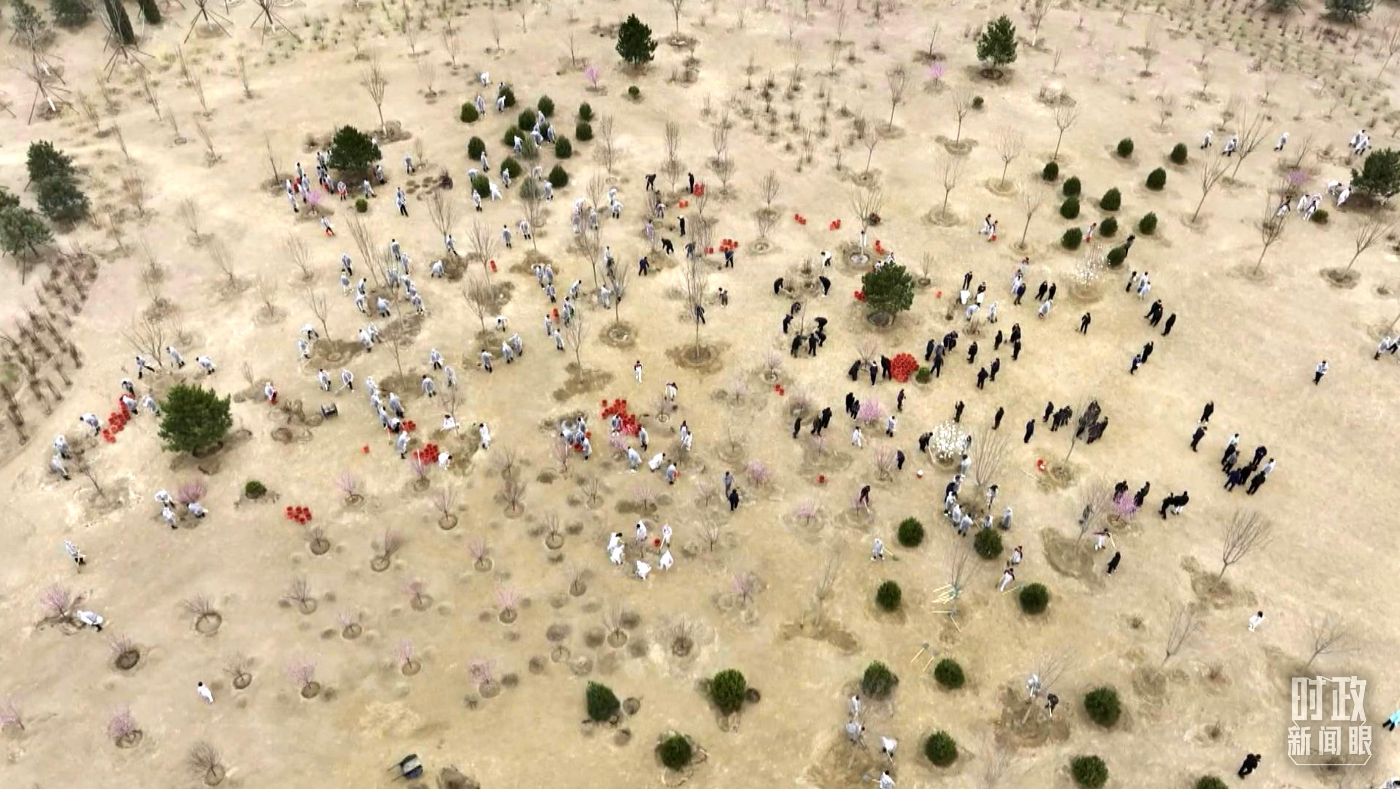 时政新闻眼丨在今年首都义务植树现场，习近平这三句话饱含深意