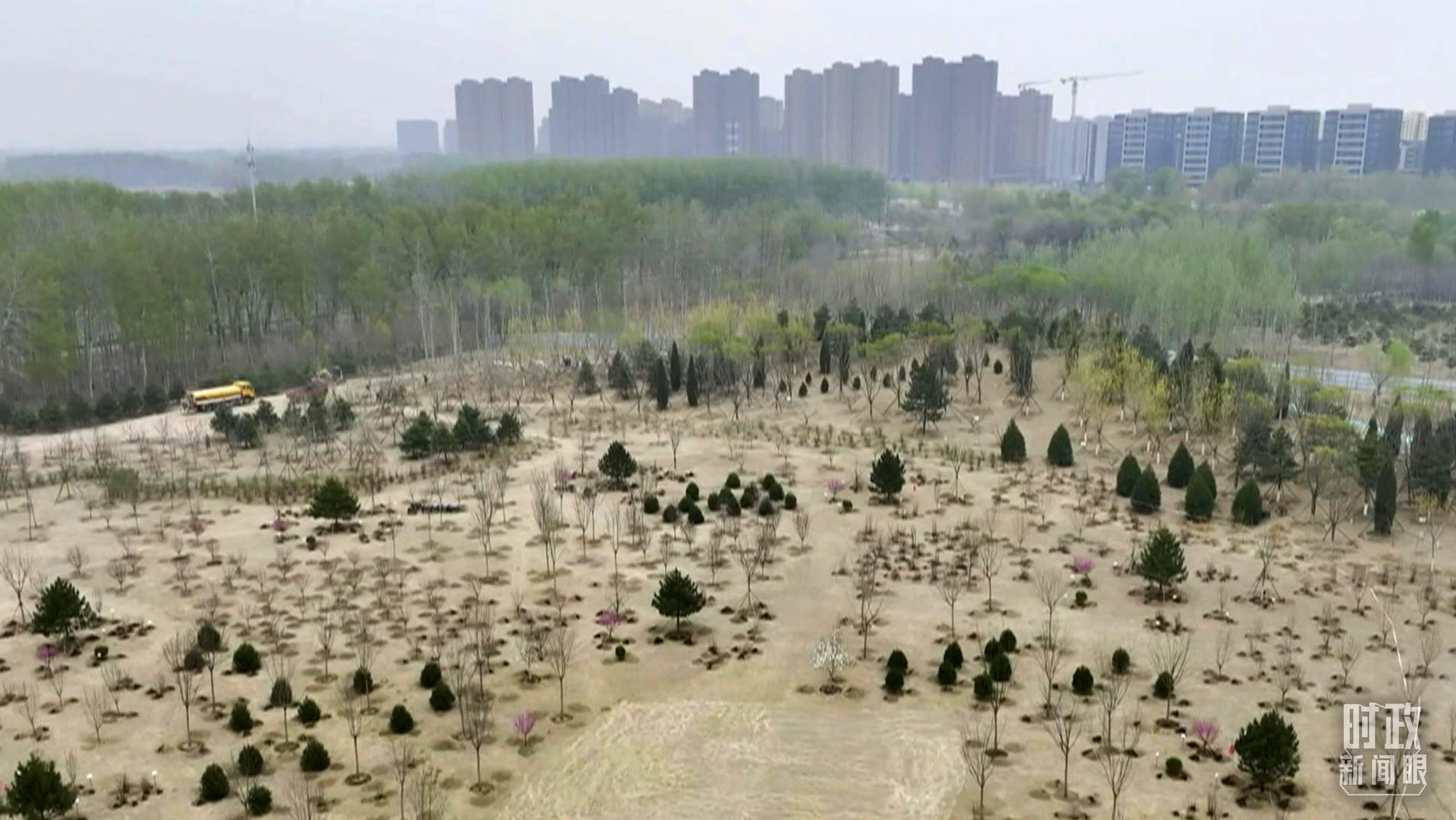 时政新闻眼丨在今年首都义务植树现场，习近平这三句话饱含深意
