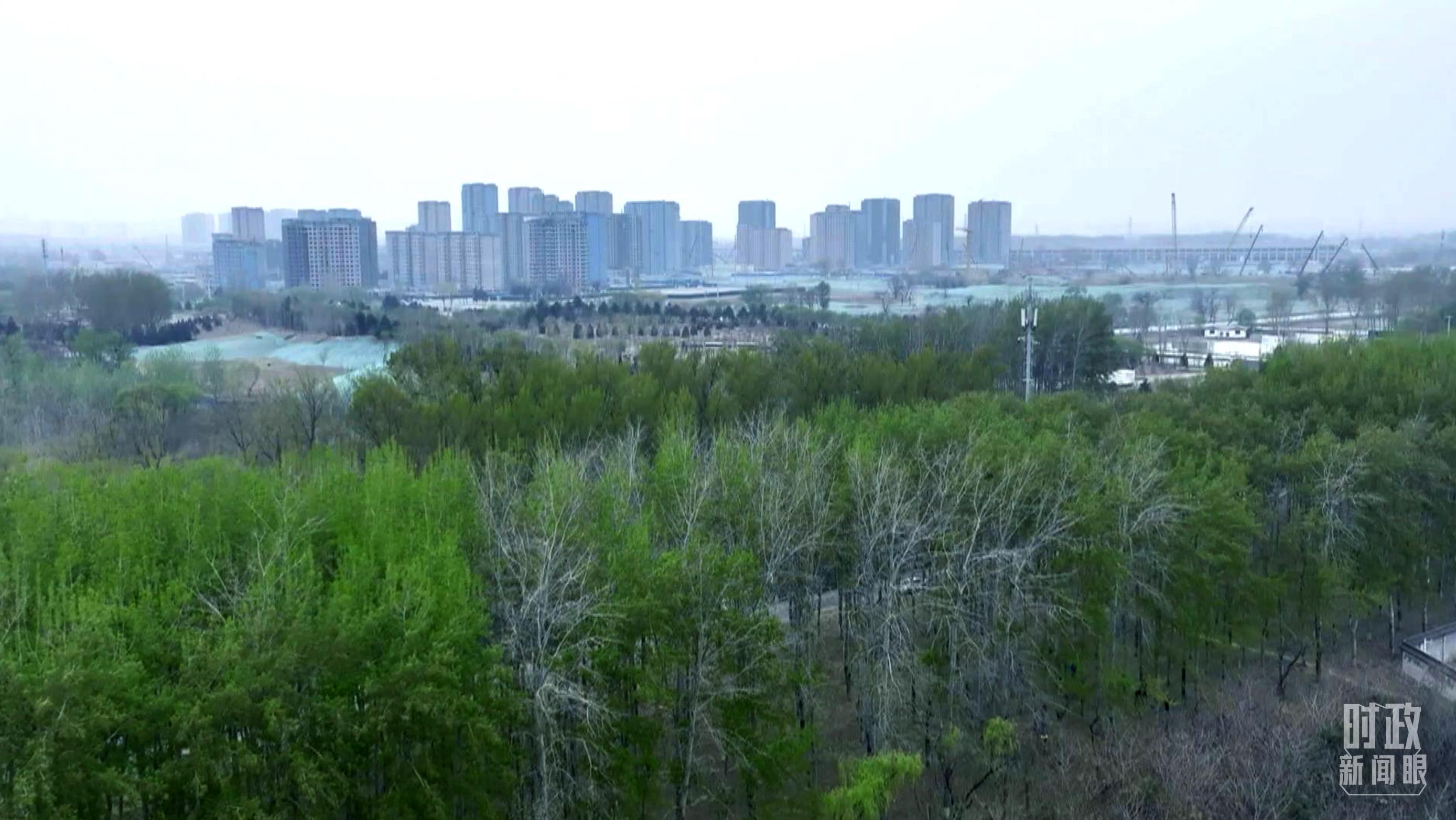 时政新闻眼丨在今年首都义务植树现场，习近平这三句话饱含深意