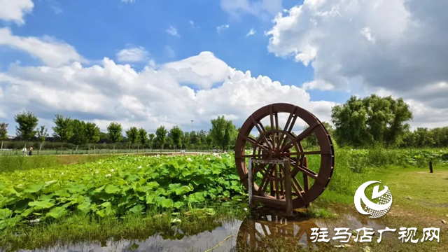 【大美天中】泌阳现“水晶天”！汉风古韵与湖光云影同框