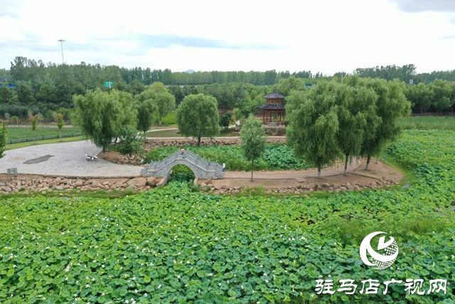 【大美天中】泌阳现“水晶天”！汉风古韵与湖光云影同框