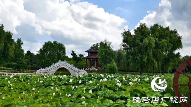 【大美天中】泌阳现“水晶天”！汉风古韵与湖光云影同框