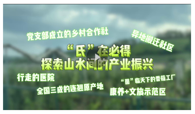 “氏”在必得 探索山水间的产业振兴