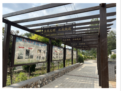 月光下的新故事:将军山村以“土”为媒走好振兴路|乡村振兴看河南