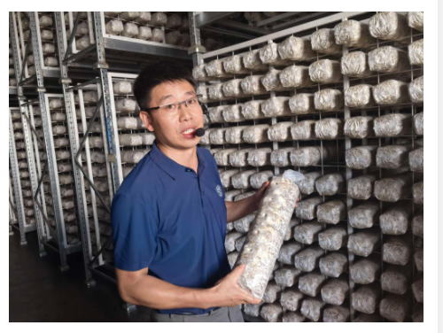 产业融合激活发展动能!卢氏实践绘就乡村振兴新图景|乡村振兴看河南