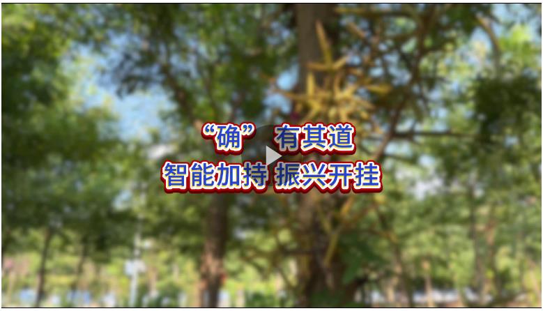 “确”有其道 河南以智能为笔绘就振兴新图景