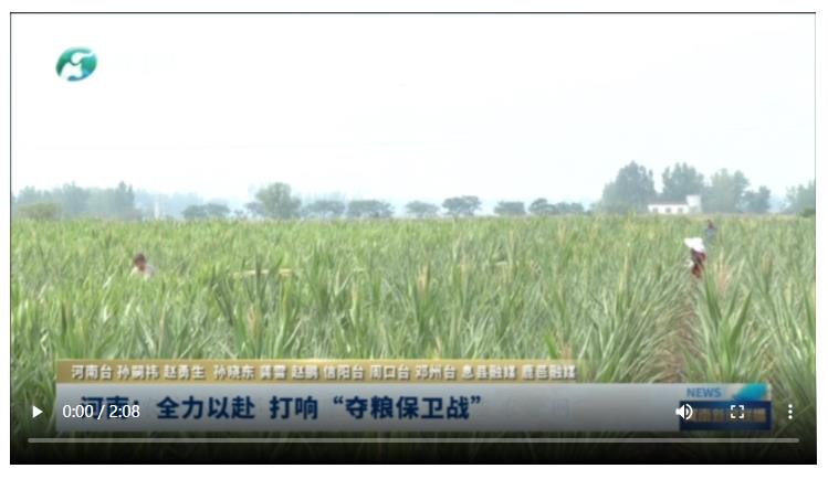 河南：全力以赴 打响“夺粮保卫战”