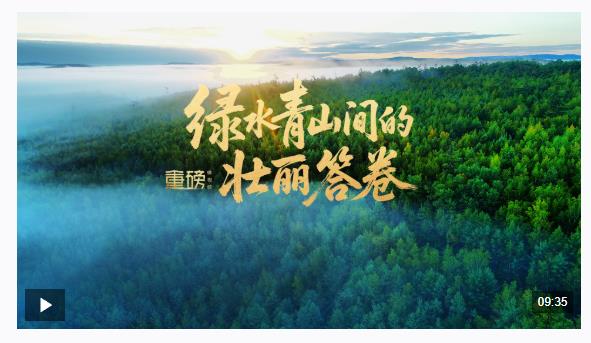 重磅微视频丨绿水青山间的壮丽答卷