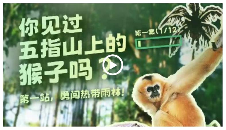 幸会中国 | 走进五指山，探秘“人与自然和谐共生”之道