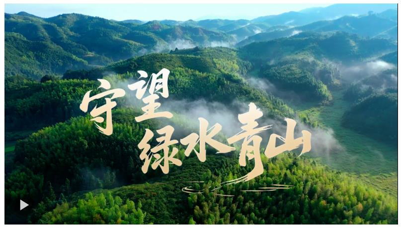 微视频｜守望绿水青山