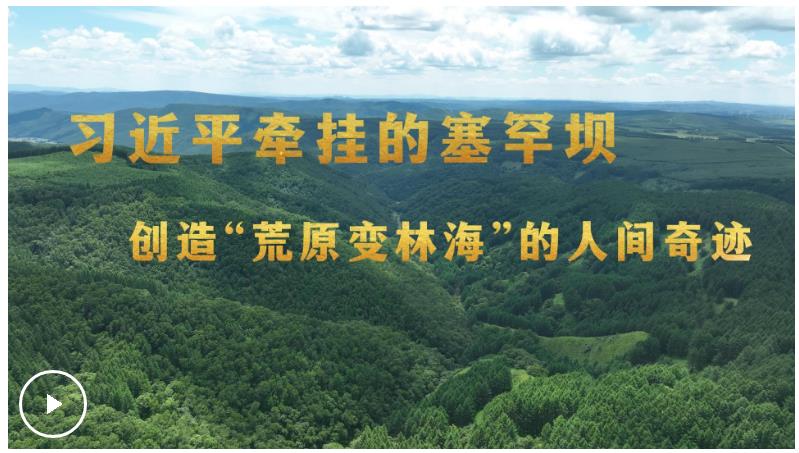 习近平牵挂的塞罕坝 创造“荒原变林海”的人间奇迹