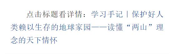 合集：新华社推出读懂“两山”理念系列学习手记