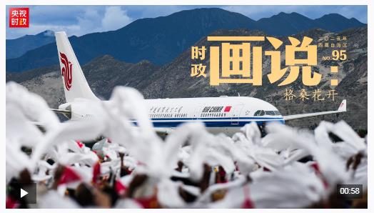 时政画说丨格桑花开