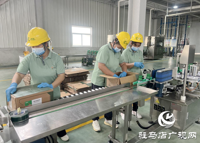 康拓森(驻马店)生物科技:创新驱动 聚力攻坚 三季度冲刺成效显著