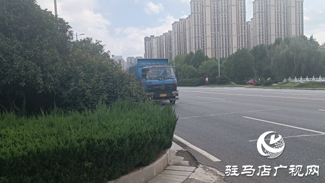 绿化带疯长遮挡视线 市民呼吁及时修剪消除隐患