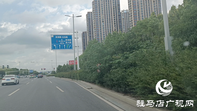 绿化带疯长遮挡视线 市民呼吁及时修剪消除隐患