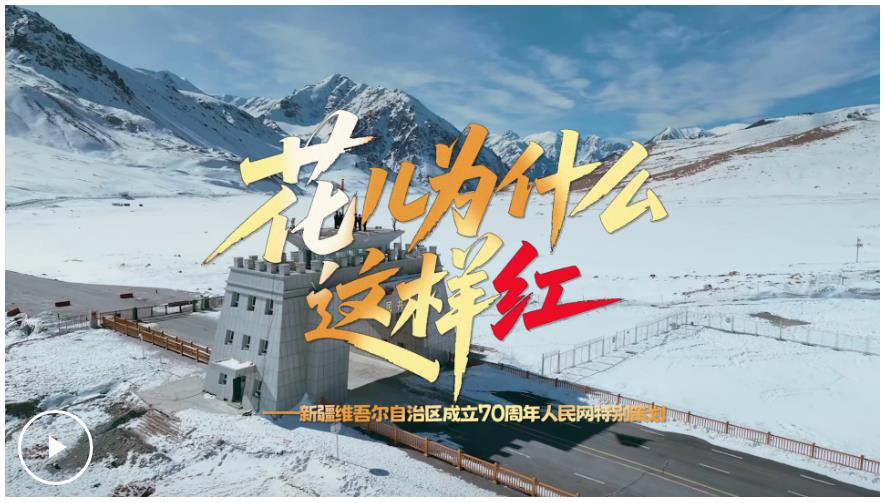 时习之丨“花儿为什么这样红”