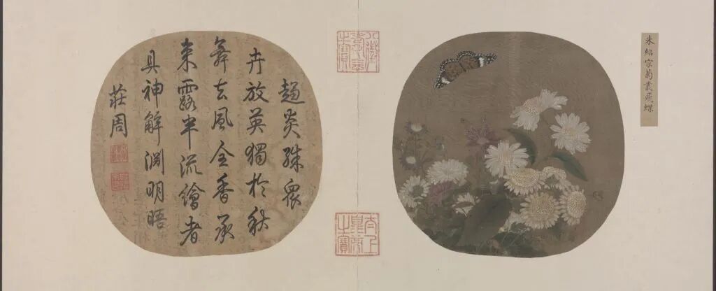 文博日历丨今日寒露,这朵秋菊已“傲霜”千年