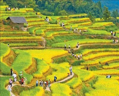 文旅场景上新 消费活力焕新