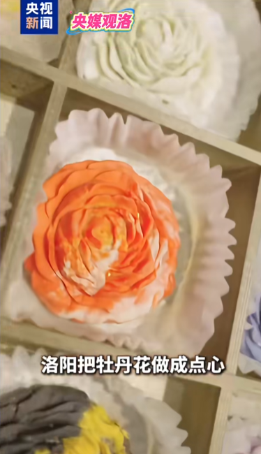 人民日报、央视聚焦60余次！