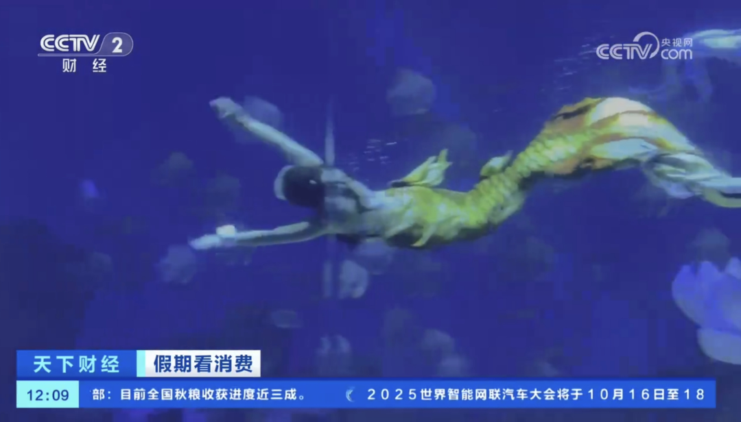 人民日报、央视聚焦60余次！