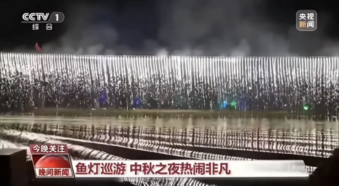 人民日报、央视聚焦60余次！