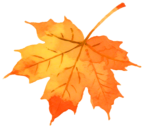 “寻驿天中剧本游”国庆特别篇——广受游客追捧