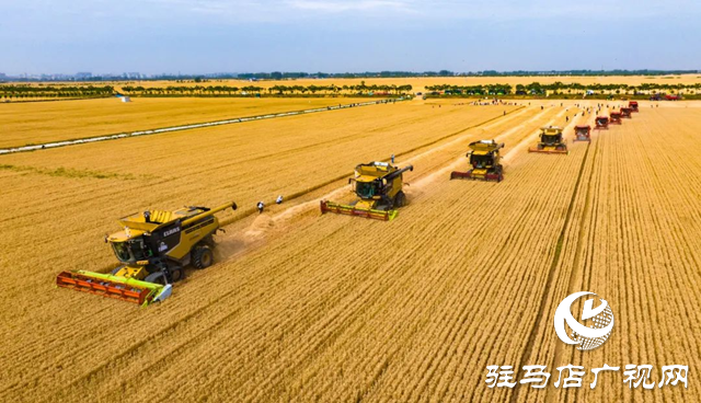 驻马店:“十四五”农业农村现代化扎实推进 乡村振兴迈出坚实步伐