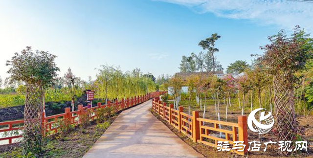 驻马店:“十四五”农业农村现代化扎实推进 乡村振兴迈出坚实步伐