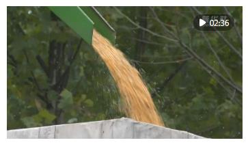 河南：开足马力抢烘秋粮