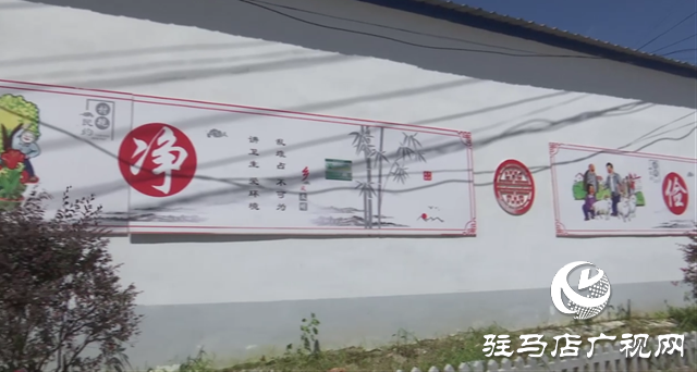 驿城区胡庙乡王庄村：&ldquo;较真&rdquo;村支书让村里大变样