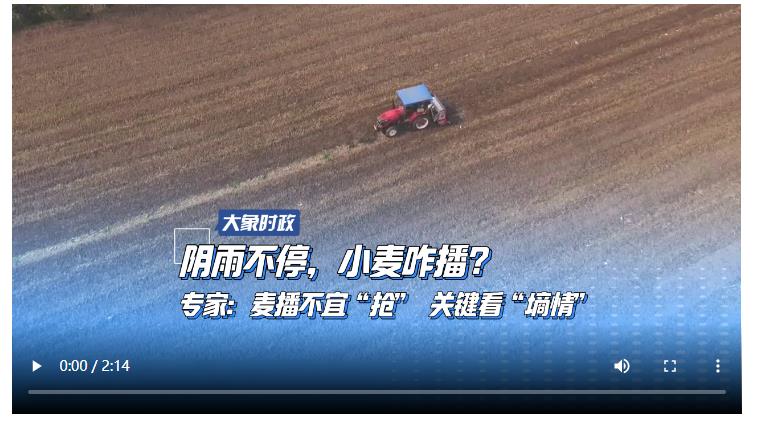 阴雨不停，小麦咋播？专家：麦播不宜“抢” 关键看“墒情”