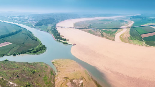 注意!黄河发生2025第1号洪水!