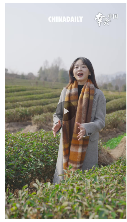 幸会中国 | 走进福建武夷山，看绿水青山如何孕育金山银山！