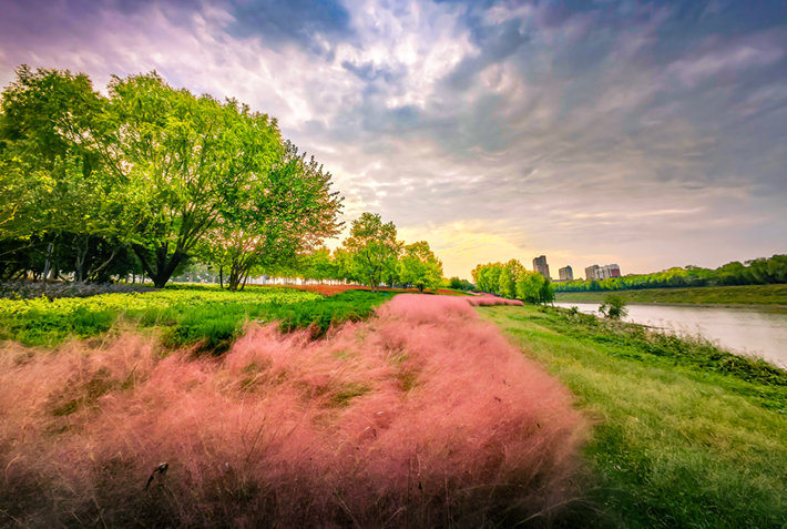县区动态|草木知秋意 斑斓绘彩卷